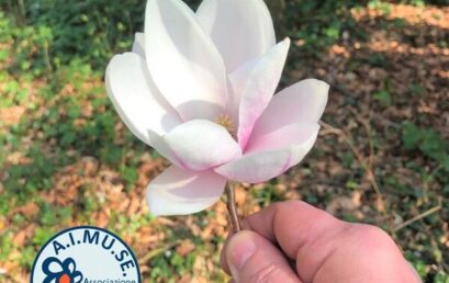 Cosa porterà la primavera?