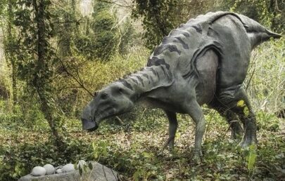 Caccia al tesoro con i Dinosauri