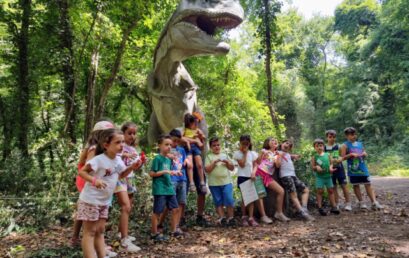Com’è andata la caccia al tesoro?