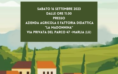 Merendata in fattoria! -Toscana