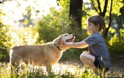 I benefici d’avere un animale domestico – di Emanuela Iacchia