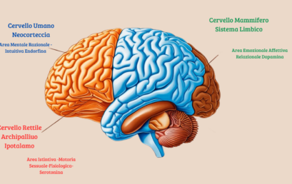 La teoria di P.D.MacLean: il cervello tripartito di Emanuela Iacchia